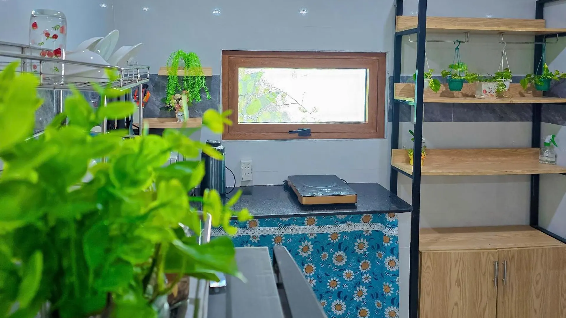Dragon Sea Homestay Hoi An